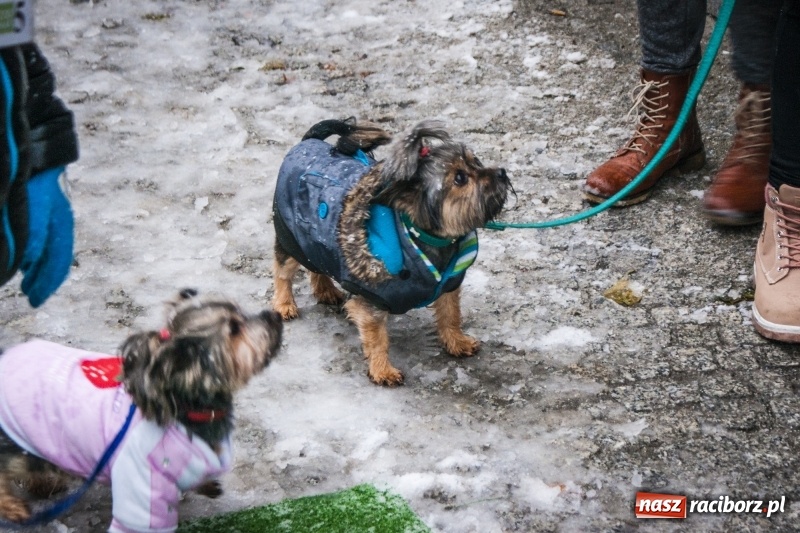 Zdjęcie w galerii na portalu naszraciborz.pl: I Festiwal Ubranek w Raciborzu wiadomości z regionu