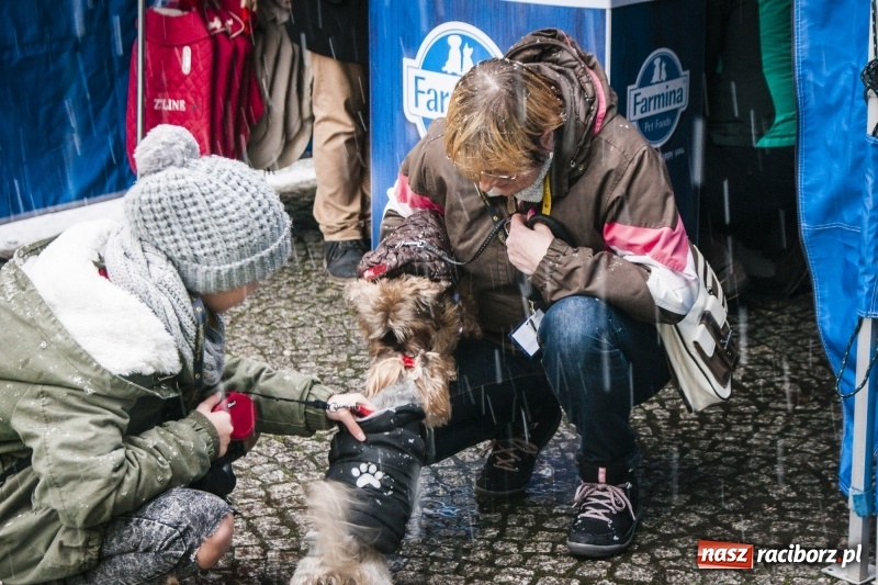 Zdjęcie w galerii na portalu naszraciborz.pl: I Festiwal Ubranek w Raciborzu wiadomości z regionu