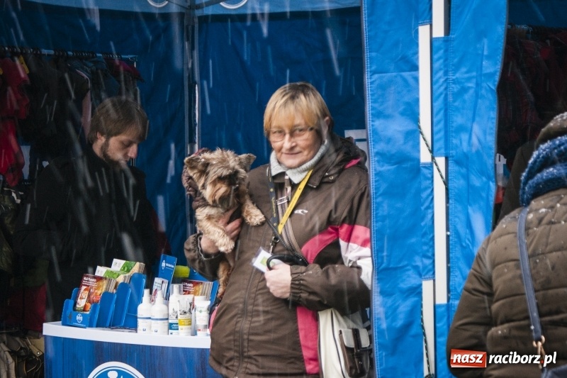 Zdjęcie w galerii na portalu naszraciborz.pl: I Festiwal Ubranek w Raciborzu wiadomości z regionu