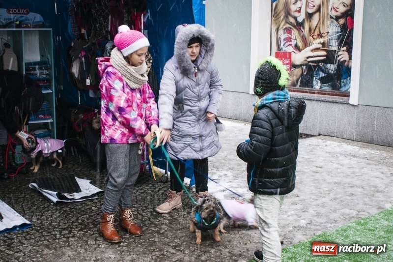 Zdjęcie w galerii na portalu naszraciborz.pl: I Festiwal Ubranek w Raciborzu wiadomości z regionu