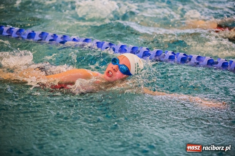 Zdjęcie w galerii na portalu naszraciborz.pl: Mikołajkowe Zawody Pływackie w ZSOMS wiadomości z regionu