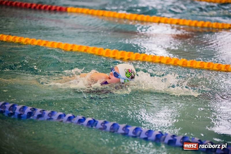 Zdjęcie w galerii na portalu naszraciborz.pl: Mikołajkowe Zawody Pływackie w ZSOMS wiadomości z regionu