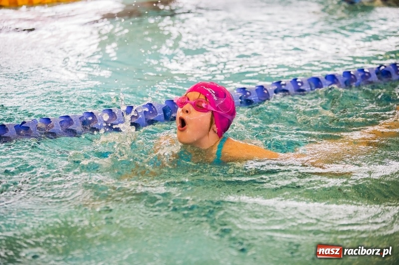 Zdjęcie w galerii na portalu naszraciborz.pl: Mikołajkowe Zawody Pływackie w ZSOMS wiadomości z regionu