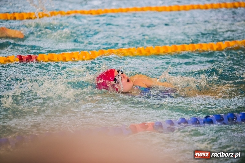 Zdjęcie w galerii na portalu naszraciborz.pl: Mikołajkowe Zawody Pływackie w ZSOMS wiadomości z regionu