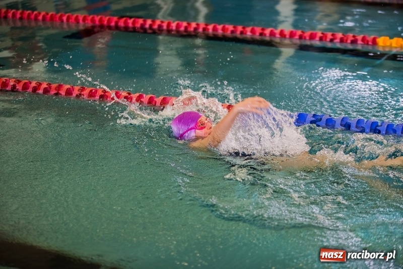 Zdjęcie w galerii na portalu naszraciborz.pl: Mikołajkowe Zawody Pływackie w ZSOMS wiadomości z regionu