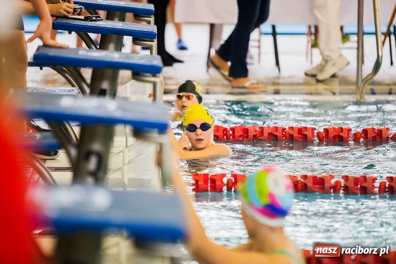 Zdjęcie w galerii na portalu naszraciborz.pl: Mikołajkowe Zawody Pływackie w ZSOMS wiadomości z regionu