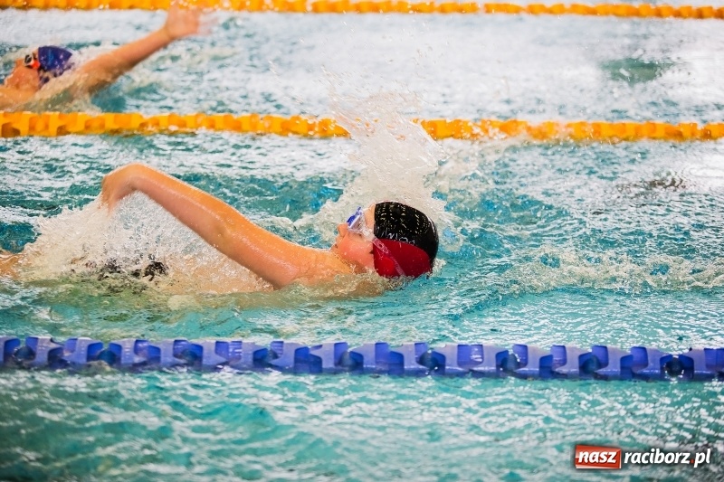 Zdjęcie w galerii na portalu naszraciborz.pl: Mikołajkowe Zawody Pływackie w ZSOMS wiadomości z regionu