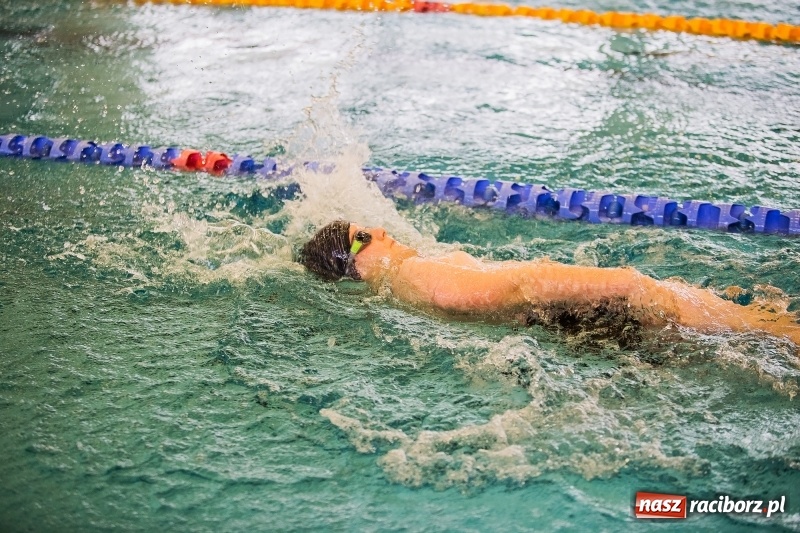 Zdjęcie w galerii na portalu naszraciborz.pl: Mikołajkowe Zawody Pływackie w ZSOMS wiadomości z regionu