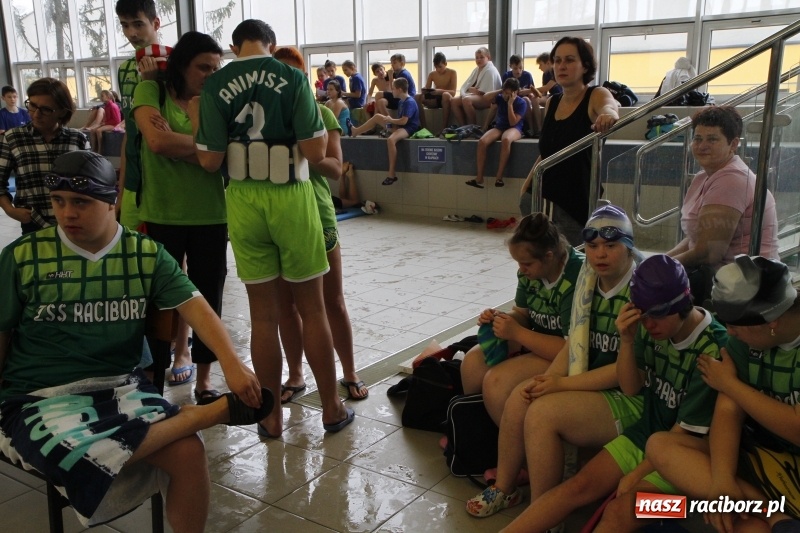 Zdjęcie w galerii na portalu naszraciborz.pl: Mikołajkowe Zawody Pływackie w ZSOMS wiadomości z regionu