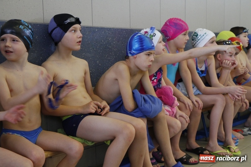 Zdjęcie w galerii na portalu naszraciborz.pl: Mikołajkowe Zawody Pływackie w ZSOMS wiadomości z regionu