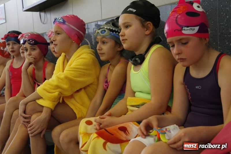 Zdjęcie w galerii na portalu naszraciborz.pl: Mikołajkowe Zawody Pływackie w ZSOMS wiadomości z regionu