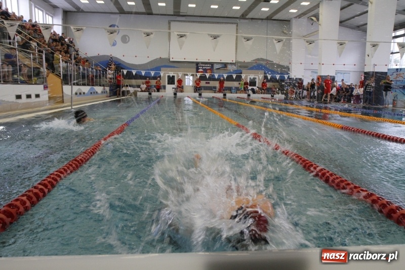 Zdjęcie w galerii na portalu naszraciborz.pl: Mikołajkowe Zawody Pływackie w ZSOMS wiadomości z regionu