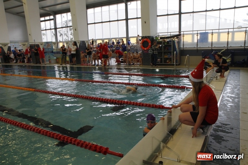 Zdjęcie w galerii na portalu naszraciborz.pl: Mikołajkowe Zawody Pływackie w ZSOMS wiadomości z regionu