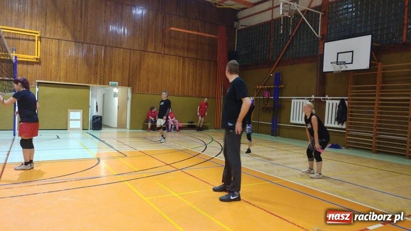 Zdjęcie w galerii na portalu naszraciborz.pl: Polsko – Czeski turniej siatkówki w Opawie za nami wiadomości z regionu