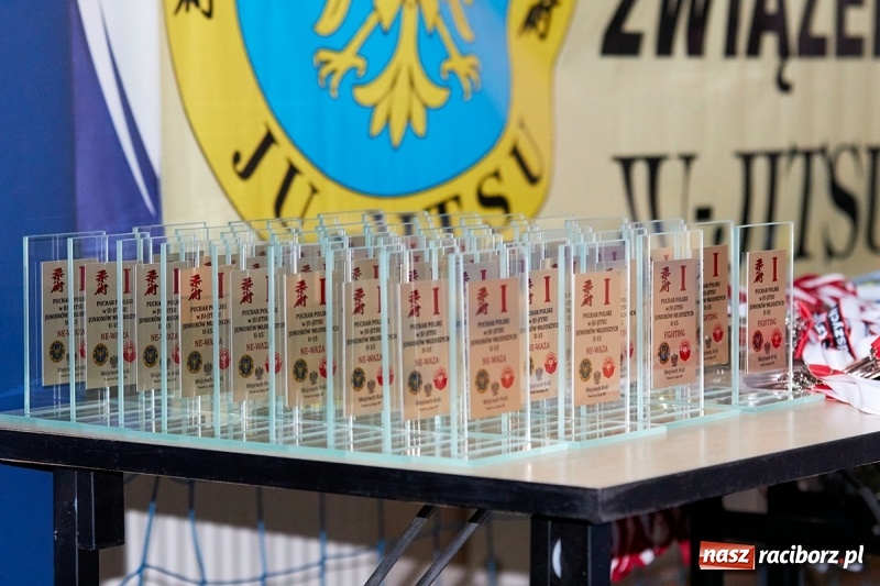 Zdjęcie w galerii na portalu naszraciborz.pl: Kolejne sukcesy wojowników Sparty Gold Team Kuźnia Raciborska w Mysłowicach wiadomości z regionu