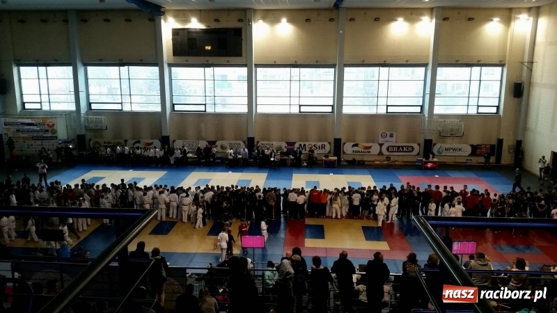 Zdjęcie w galerii na portalu naszraciborz.pl: Kolejne sukcesy wojowników Sparty Gold Team Kuźnia Raciborska w Mysłowicach wiadomości z regionu