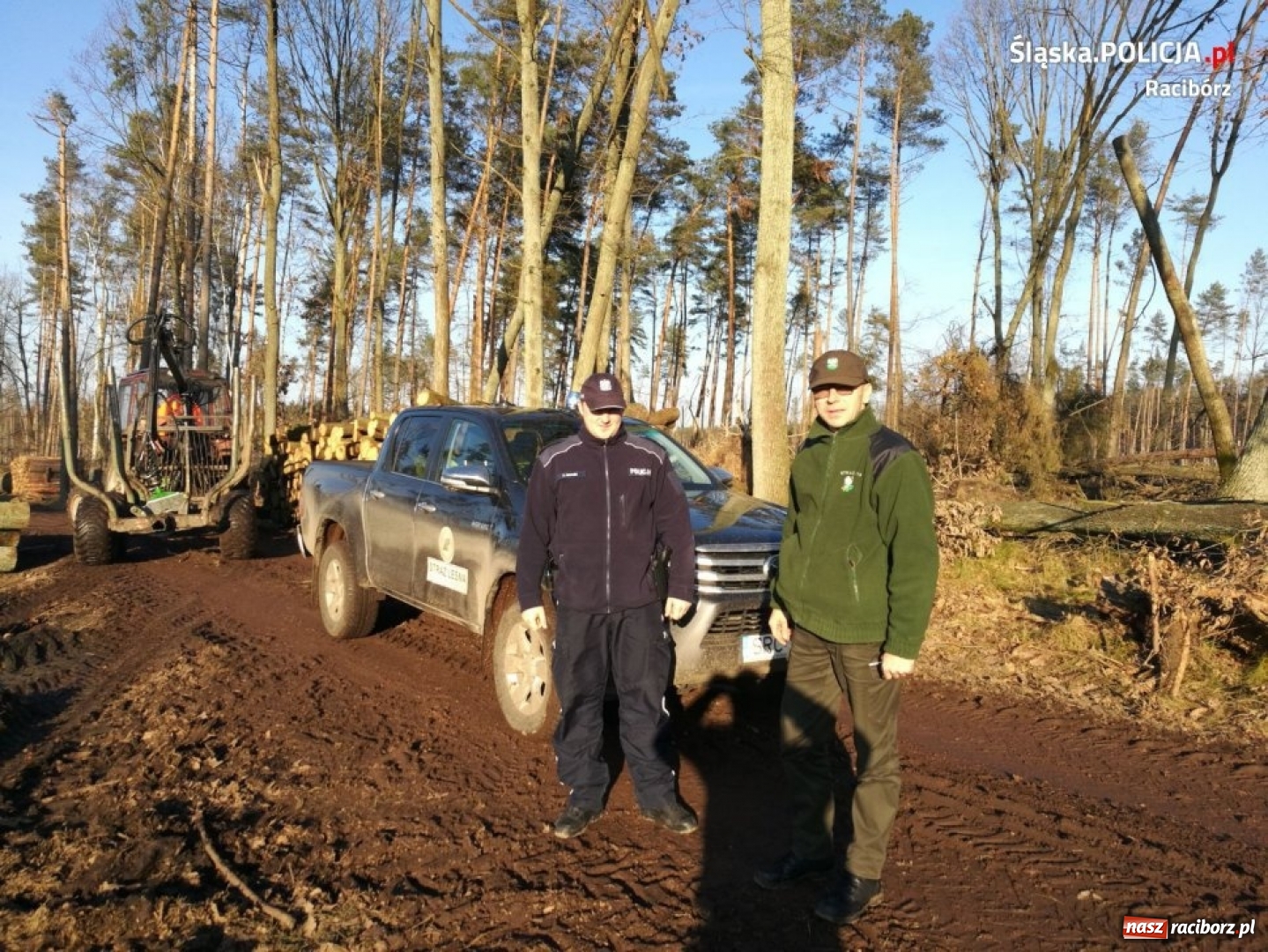 Zdjęcie w galerii na portalu naszraciborz.pl: Policja i straż leśna patrolują lasy. Złodzieje choinek muszą się mieć na baczności  wiadomości z regionu