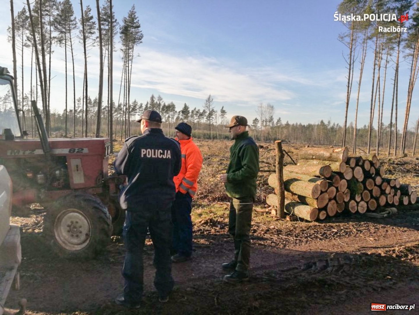 Zdjęcie w galerii na portalu naszraciborz.pl: Policja i straż leśna patrolują lasy. Złodzieje choinek muszą się mieć na baczności  wiadomości z regionu