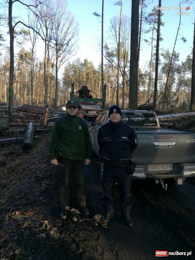 Zdjęcie w galerii na portalu naszraciborz.pl: Policja i straż leśna patrolują lasy. Złodzieje choinek muszą się mieć na baczności  wiadomości z regionu