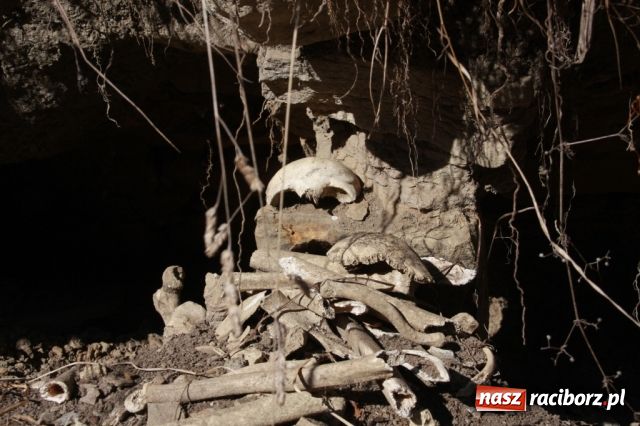 Zdjęcie w galerii na portalu naszraciborz.pl: Patryk Zabrzewski na Elbrusie wiadomości z regionu