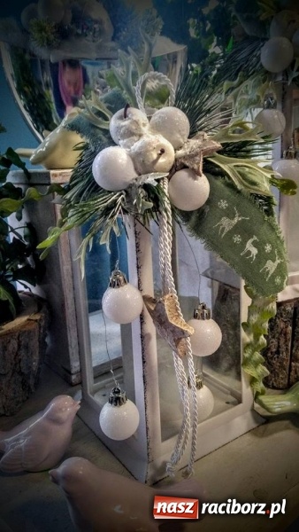 Zdjęcie w galerii na portalu naszraciborz.pl: Żywa choinka to kwintesencja Bożego Narodzenia - kwiaciarnia Lawender zaprasza  wiadomości z regionu