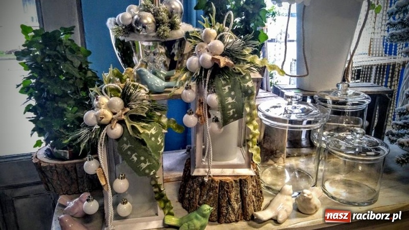 Zdjęcie w galerii na portalu naszraciborz.pl: Żywa choinka to kwintesencja Bożego Narodzenia - kwiaciarnia Lawender zaprasza  wiadomości z regionu