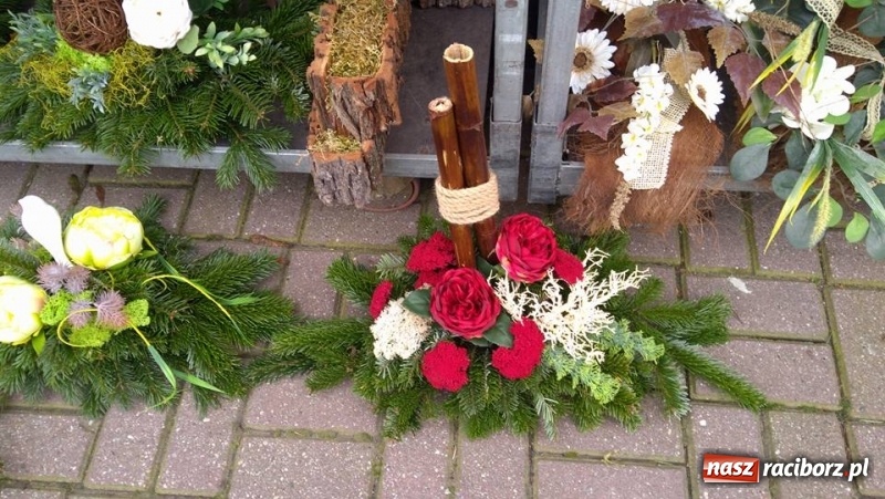 Zdjęcie w galerii na portalu naszraciborz.pl: Żywa choinka to kwintesencja Bożego Narodzenia - kwiaciarnia Lawender zaprasza  wiadomości z regionu