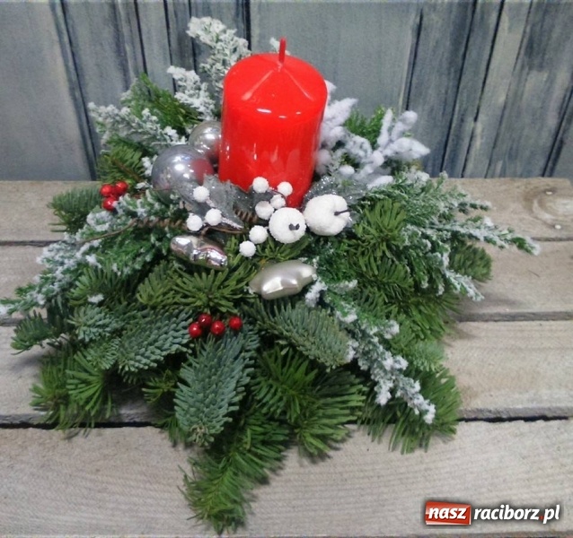 Zdjęcie w galerii na portalu naszraciborz.pl: Żywa choinka to kwintesencja Bożego Narodzenia - kwiaciarnia Lawender zaprasza  wiadomości z regionu