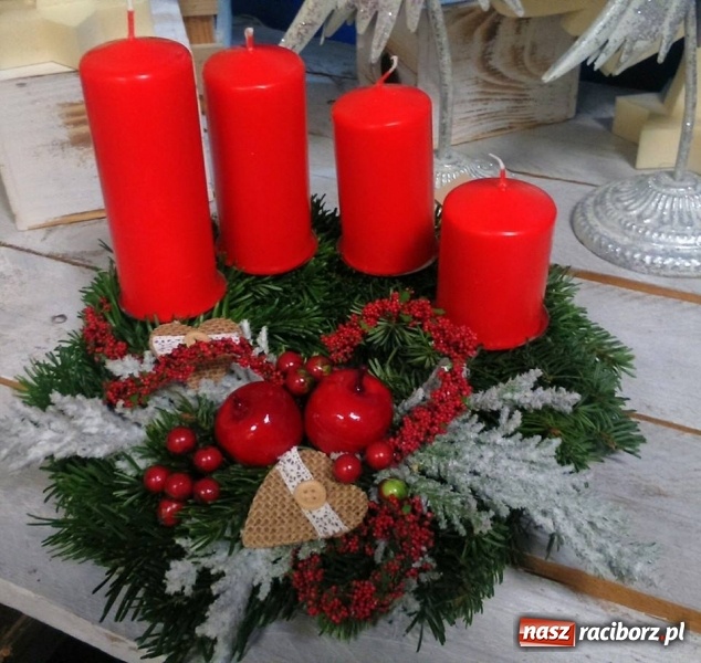 Zdjęcie w galerii na portalu naszraciborz.pl: Żywa choinka to kwintesencja Bożego Narodzenia - kwiaciarnia Lawender zaprasza  wiadomości z regionu