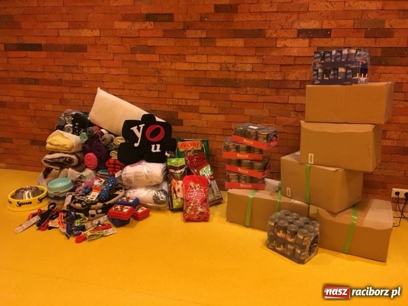 Zdjęcie w galerii na portalu naszraciborz.pl: Każda miska i koc mają dużą moc  wiadomości z regionu