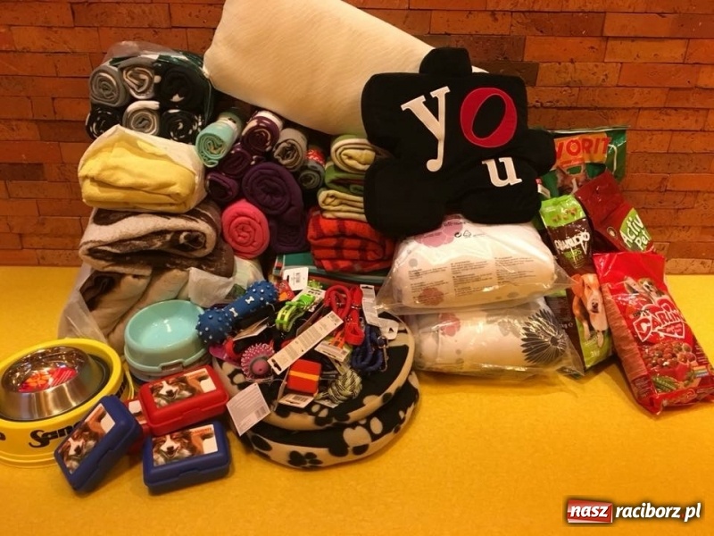 Zdjęcie w galerii na portalu naszraciborz.pl: Każda miska i koc mają dużą moc  wiadomości z regionu