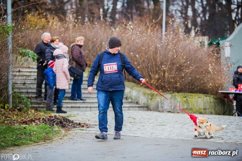 Zdjęcie w galerii na portalu naszraciborz.pl: Bieg Mikołajkowy w Parku im. Miasta Roth wiadomości z regionu