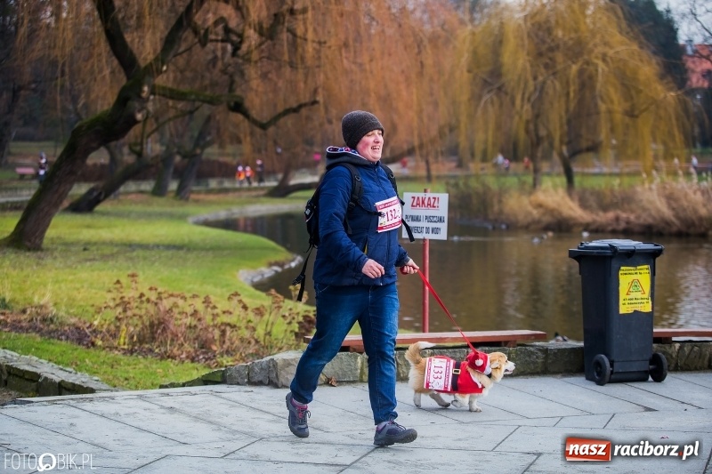 Zdjęcie w galerii na portalu naszraciborz.pl: Bieg Mikołajkowy w Parku im. Miasta Roth wiadomości z regionu
