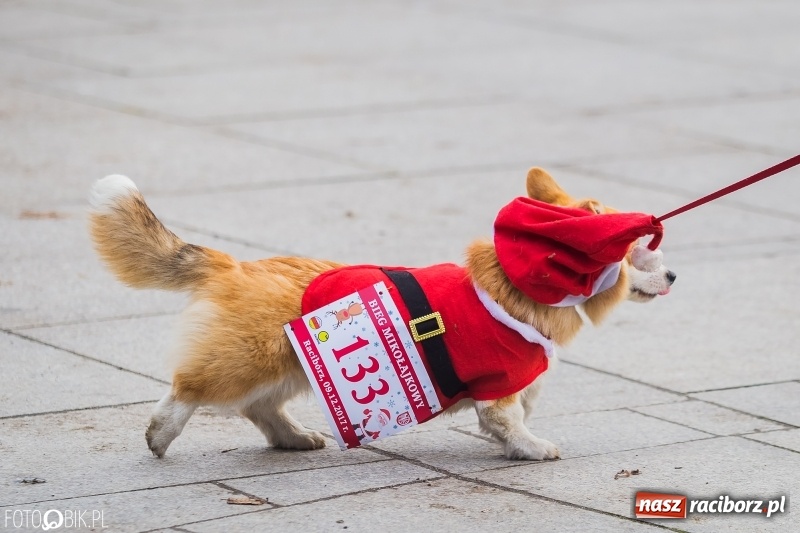 Zdjęcie w galerii na portalu naszraciborz.pl: Bieg Mikołajkowy w Parku im. Miasta Roth wiadomości z regionu