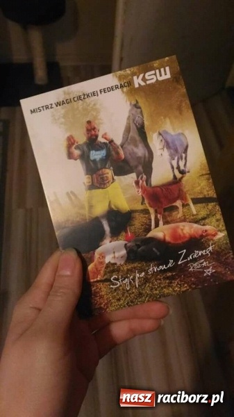 Zdjęcie w galerii na portalu naszraciborz.pl: Licytacje dla zwierzaków - podsumowanie akcji  wiadomości z regionu