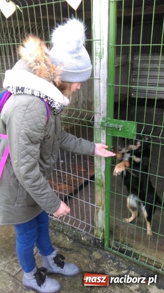 Zdjęcie w galerii na portalu naszraciborz.pl: Licytacje dla zwierzaków - podsumowanie akcji  wiadomości z regionu