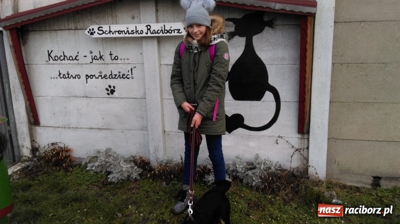 Zdjęcie w galerii na portalu naszraciborz.pl: Licytacje dla zwierzaków - podsumowanie akcji  wiadomości z regionu