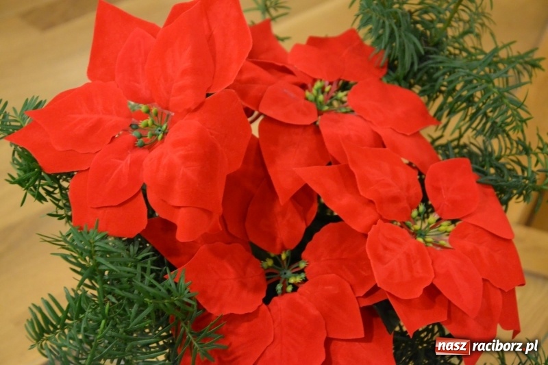 Zdjęcie w galerii na portalu naszraciborz.pl: Pójdźcie za naszą gwiazdą - spotkanie wigilijne na Zamku Piastowskim wiadomości z regionu