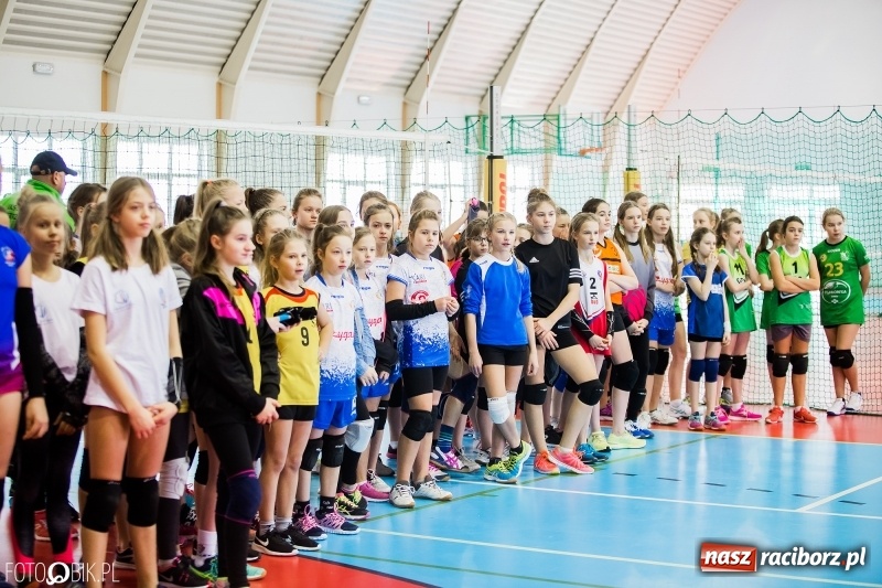 Zdjęcie w galerii na portalu naszraciborz.pl: Turniej Piłki Siatkowej Młodziczek o Puchar Starosty Raciborskiego wiadomości z regionu