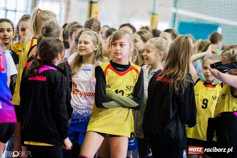 Zdjęcie w galerii na portalu naszraciborz.pl: Turniej Piłki Siatkowej Młodziczek o Puchar Starosty Raciborskiego wiadomości z regionu