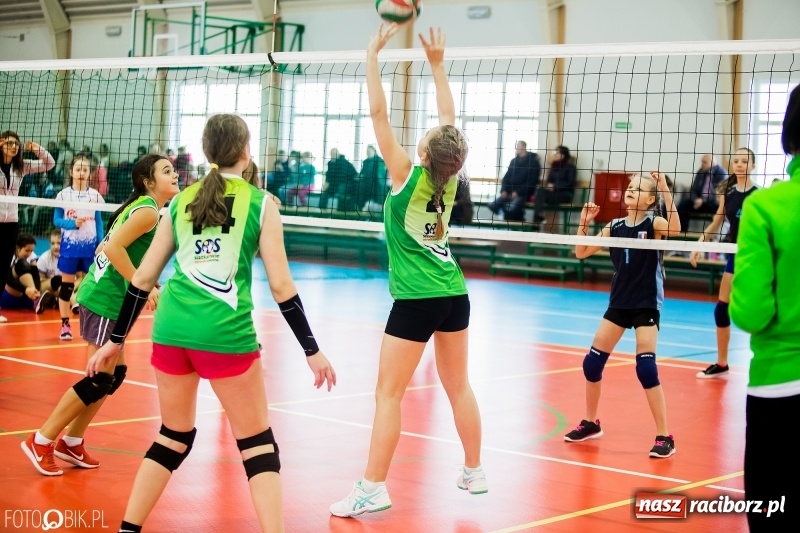 Zdjęcie w galerii na portalu naszraciborz.pl: Turniej Piłki Siatkowej Młodziczek o Puchar Starosty Raciborskiego wiadomości z regionu