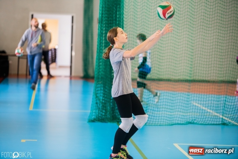 Zdjęcie w galerii na portalu naszraciborz.pl: Turniej Piłki Siatkowej Młodziczek o Puchar Starosty Raciborskiego wiadomości z regionu