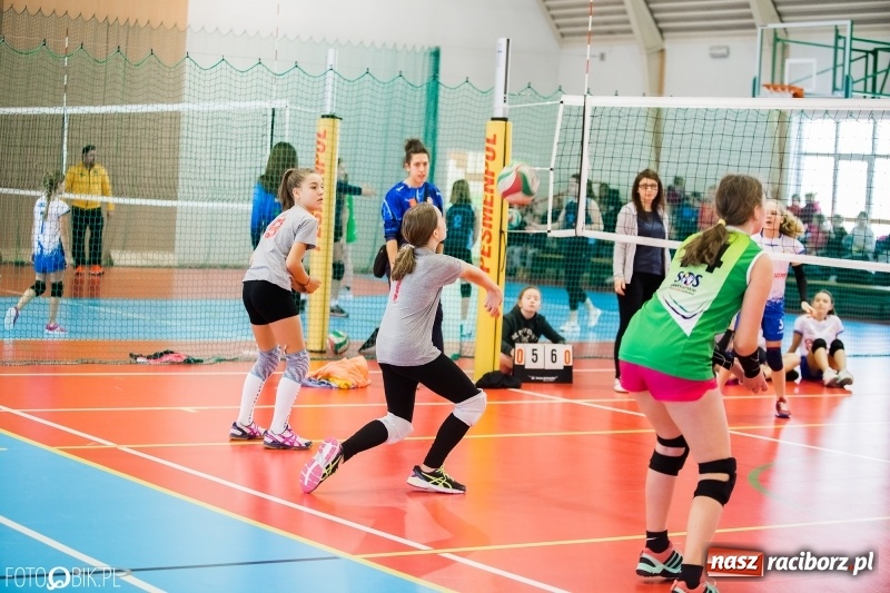 Zdjęcie w galerii na portalu naszraciborz.pl: Turniej Piłki Siatkowej Młodziczek o Puchar Starosty Raciborskiego wiadomości z regionu