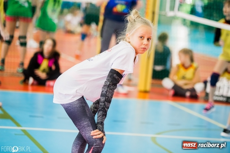 Zdjęcie w galerii na portalu naszraciborz.pl: Turniej Piłki Siatkowej Młodziczek o Puchar Starosty Raciborskiego wiadomości z regionu