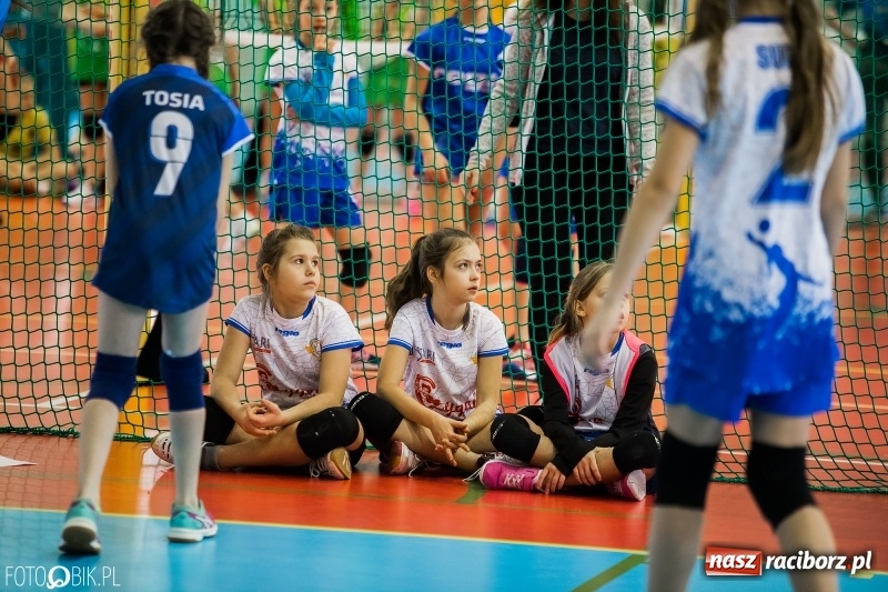 Zdjęcie w galerii na portalu naszraciborz.pl: Turniej Piłki Siatkowej Młodziczek o Puchar Starosty Raciborskiego wiadomości z regionu