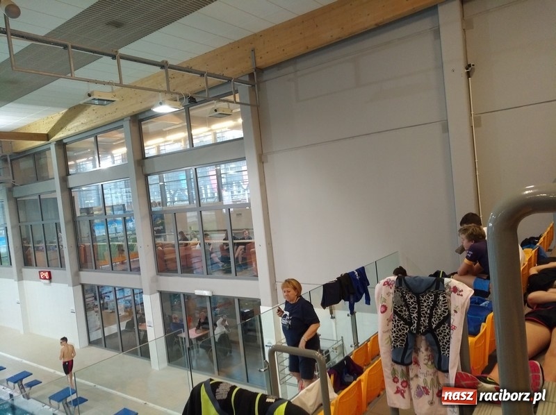 Zdjęcie w galerii na portalu naszraciborz.pl: Pływanie. Medalowe żniwo pływaków Szkoły Mistrzostwa Sportowego wiadomości z regionu