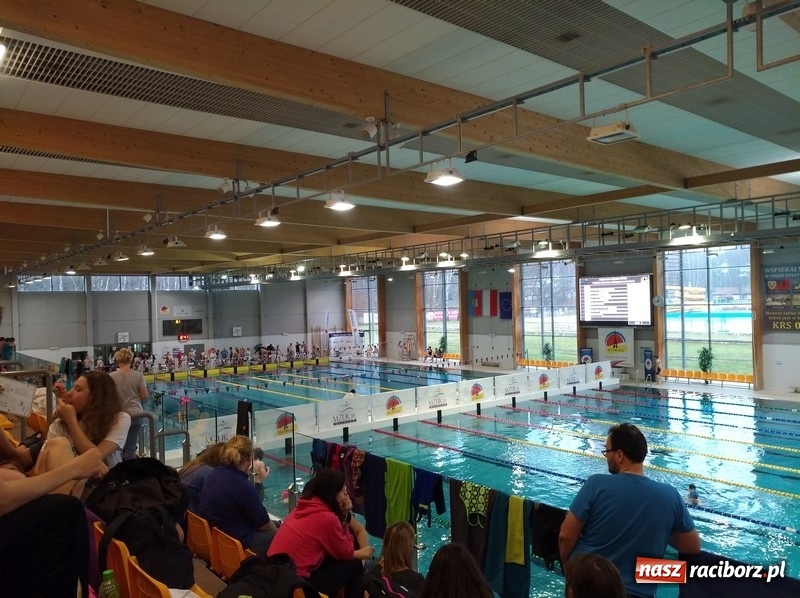 Zdjęcie w galerii na portalu naszraciborz.pl: Pływanie. Medalowe żniwo pływaków Szkoły Mistrzostwa Sportowego wiadomości z regionu