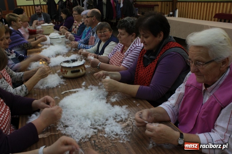 Zdjęcie w galerii na portalu naszraciborz.pl: Jak za starego pyrwe, czyli tradycyjne skubanie pierza w Borucinie wiadomości z regionu