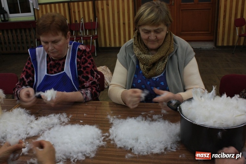Zdjęcie w galerii na portalu naszraciborz.pl: Jak za starego pyrwe, czyli tradycyjne skubanie pierza w Borucinie wiadomości z regionu