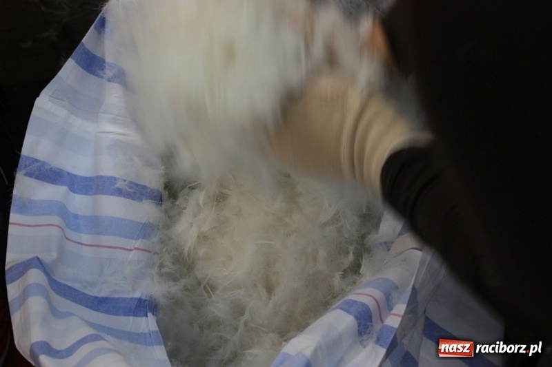 Zdjęcie w galerii na portalu naszraciborz.pl: Jak za starego pyrwe, czyli tradycyjne skubanie pierza w Borucinie wiadomości z regionu